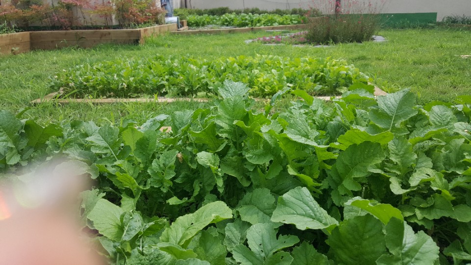 3695598613_Az30IfWF_ab42b102e5ef8d38d23090ad319ed10e0e354ecf.jpg 이미지크게보기