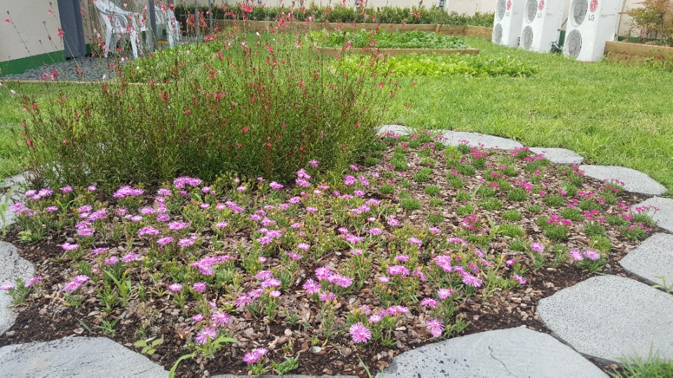 3695598613_DbUoTuZ1_48f99ddfd13c2acac29c90607eafc4ff46853c85.jpg 이미지크게보기