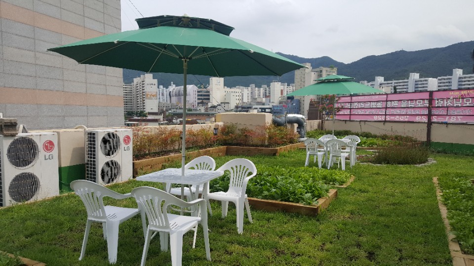 3695598613_Ehzl07Ga_383e45a31c001173692a06a4f54404e129c110b2.jpg 이미지크게보기