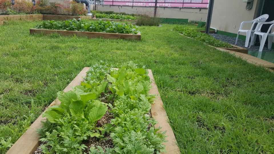 3695598613_eH4Zz1Wa_5c30be300517c072b5247480cb69e603a4916d2b.jpg 이미지크게보기