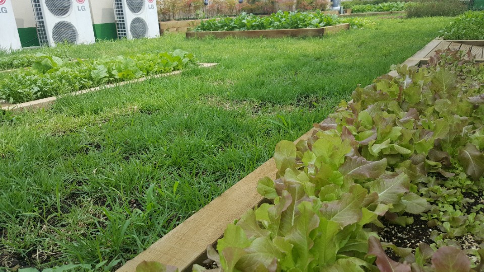 3695598613_zyx5KnDf_94e6666da83c5975753307bf522a56d4c558dd14.jpg 이미지크게보기