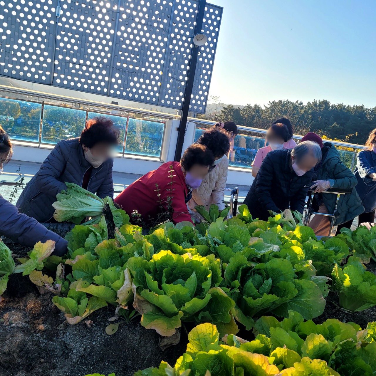 1926210121_5VfymzdO_960571e6d7fecd1cfa1af7b6db2e4f53b8a89f04.jpg 이미지크게보기