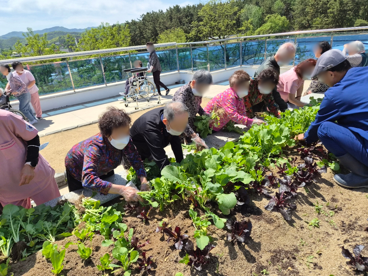 1926210121_5mcKCHjy_5eccfceb288200b5a98ac6ac3d347ed23b4cf551.jpg 이미지크게보기