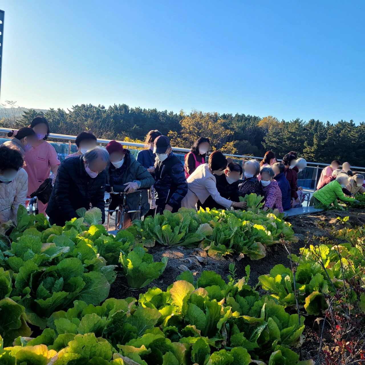 1926210121_B4cPmwfs_4f7d5af247e0bcabd322212d15e5c15b643d82bc.jpg 이미지크게보기