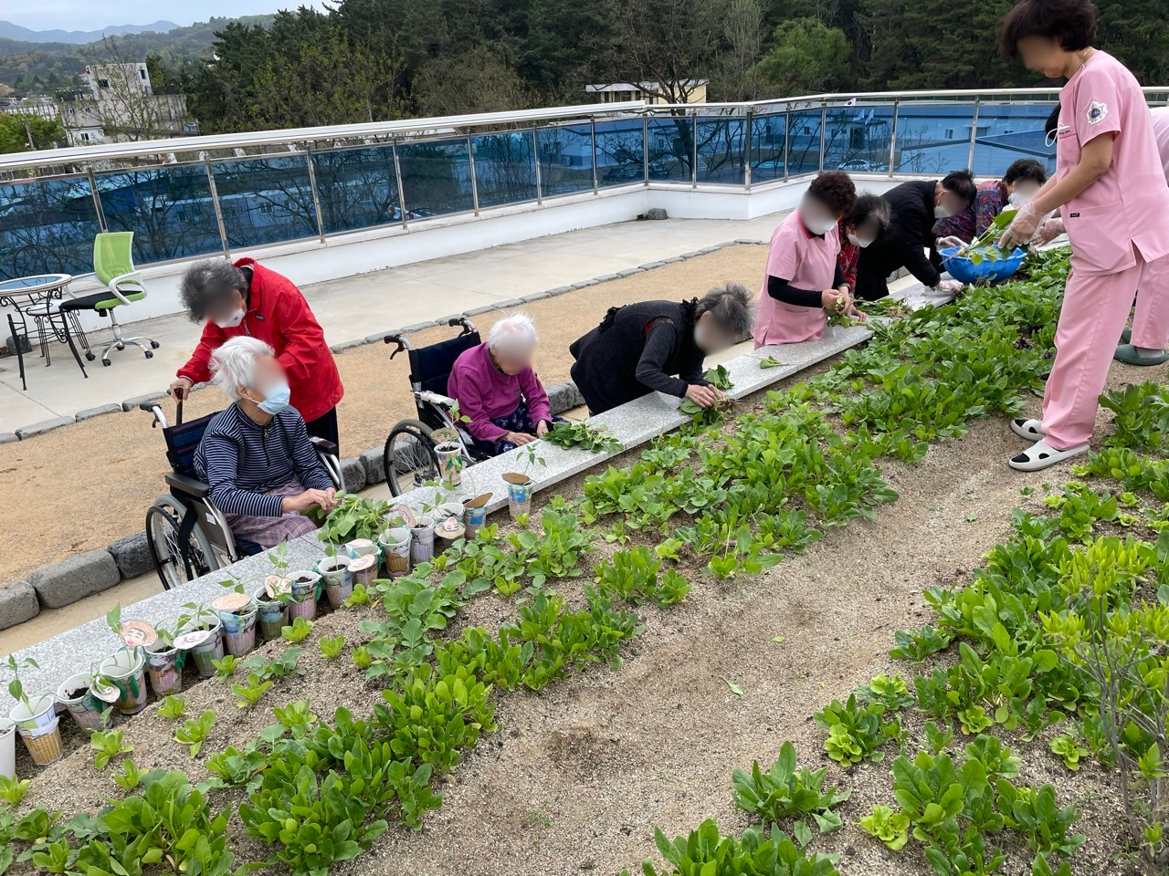 1926210121_Nsu4r1IQ_e3eff839d9cc83d5863bf5bbd52a93ba5b19157a.jpg 이미지크게보기