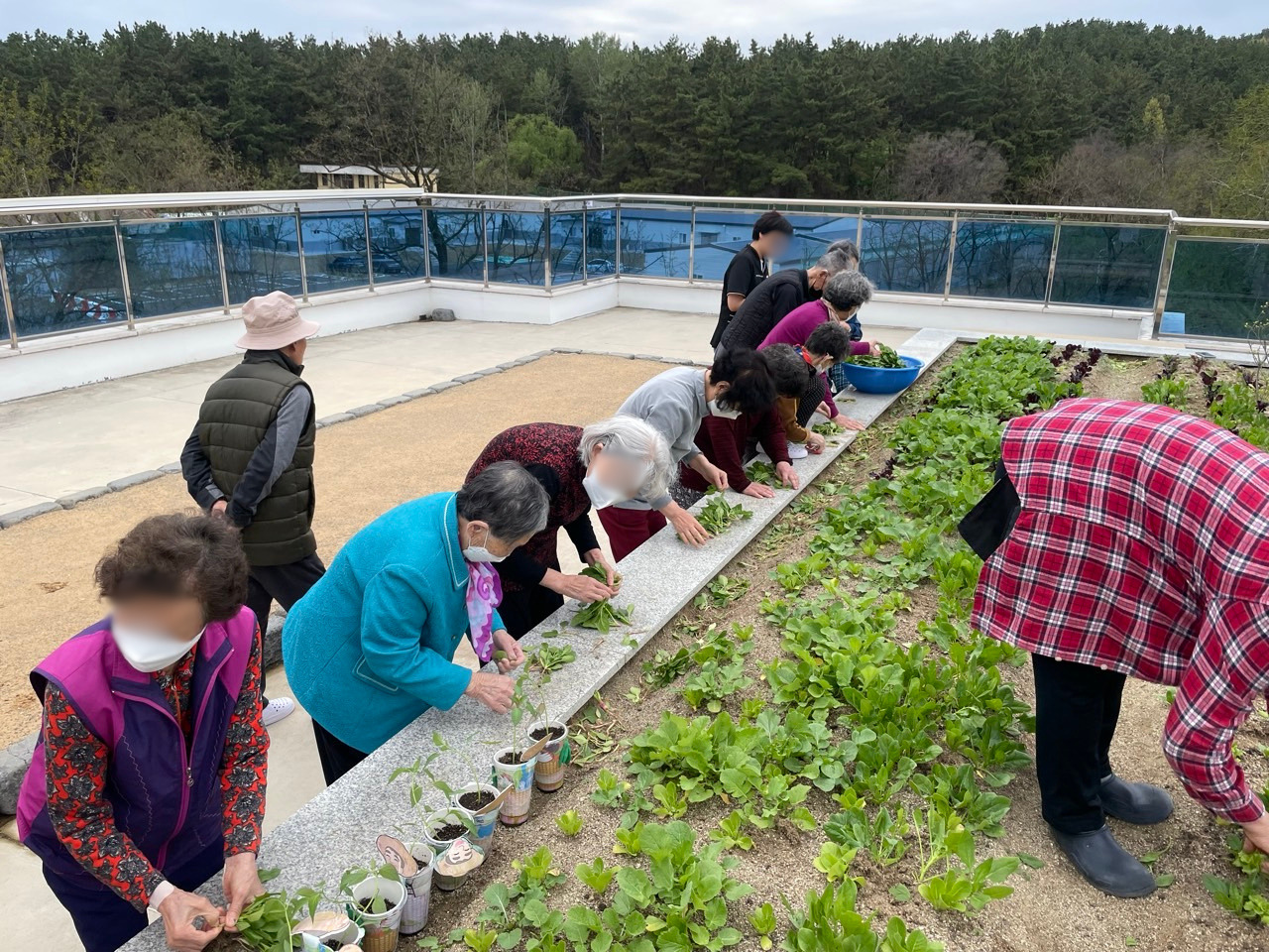 1926210121_PbQa0fWH_ed80ed937d3b13b5a114af8283839c747f21dbb0.jpg 이미지크게보기