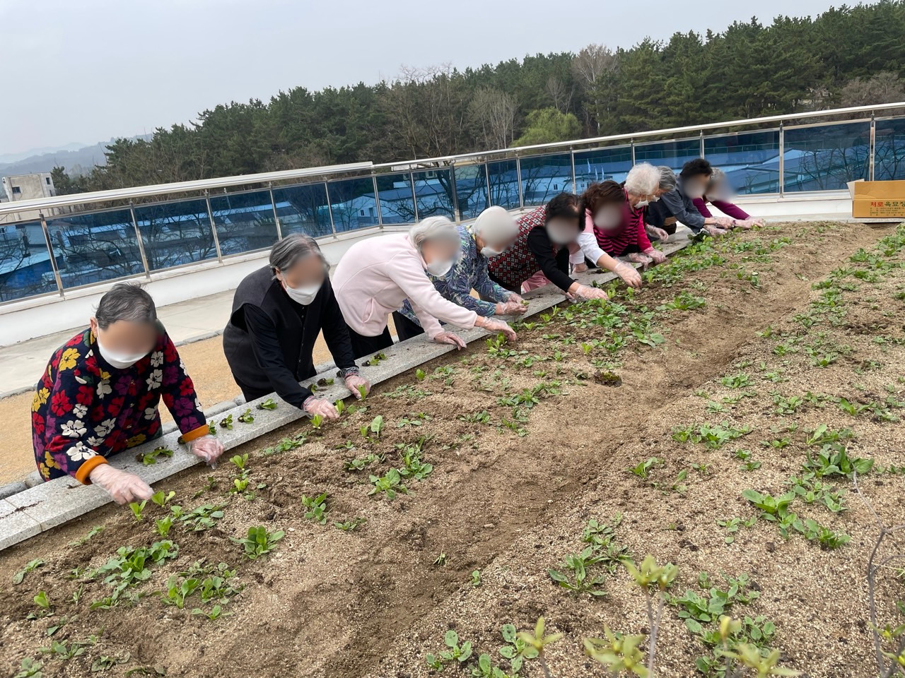 1926210121_R9A0O4S5_4ace5295c2939049bf09e7f9a552a8b010a74642.jpg 이미지크게보기