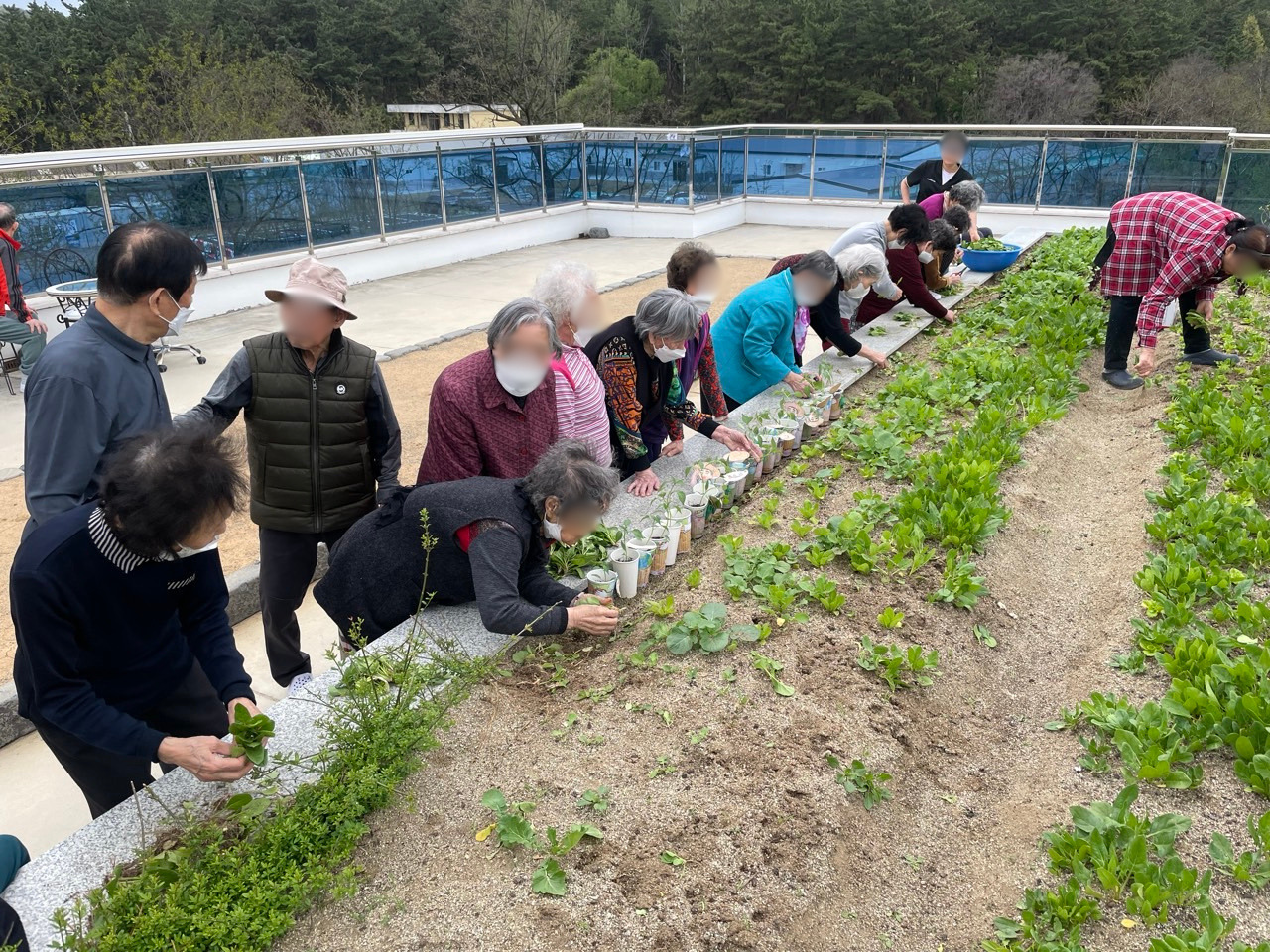 1926210121_RPaSCbLV_867b6b2a40cf121ff47ff9b61c11143af32e94c7.jpg 이미지크게보기