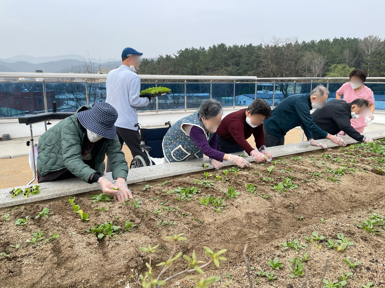 1926210121_fJrW9iyc_7054a97c2056eb57fbde3861b37566859288a487.jpg 이미지크게보기