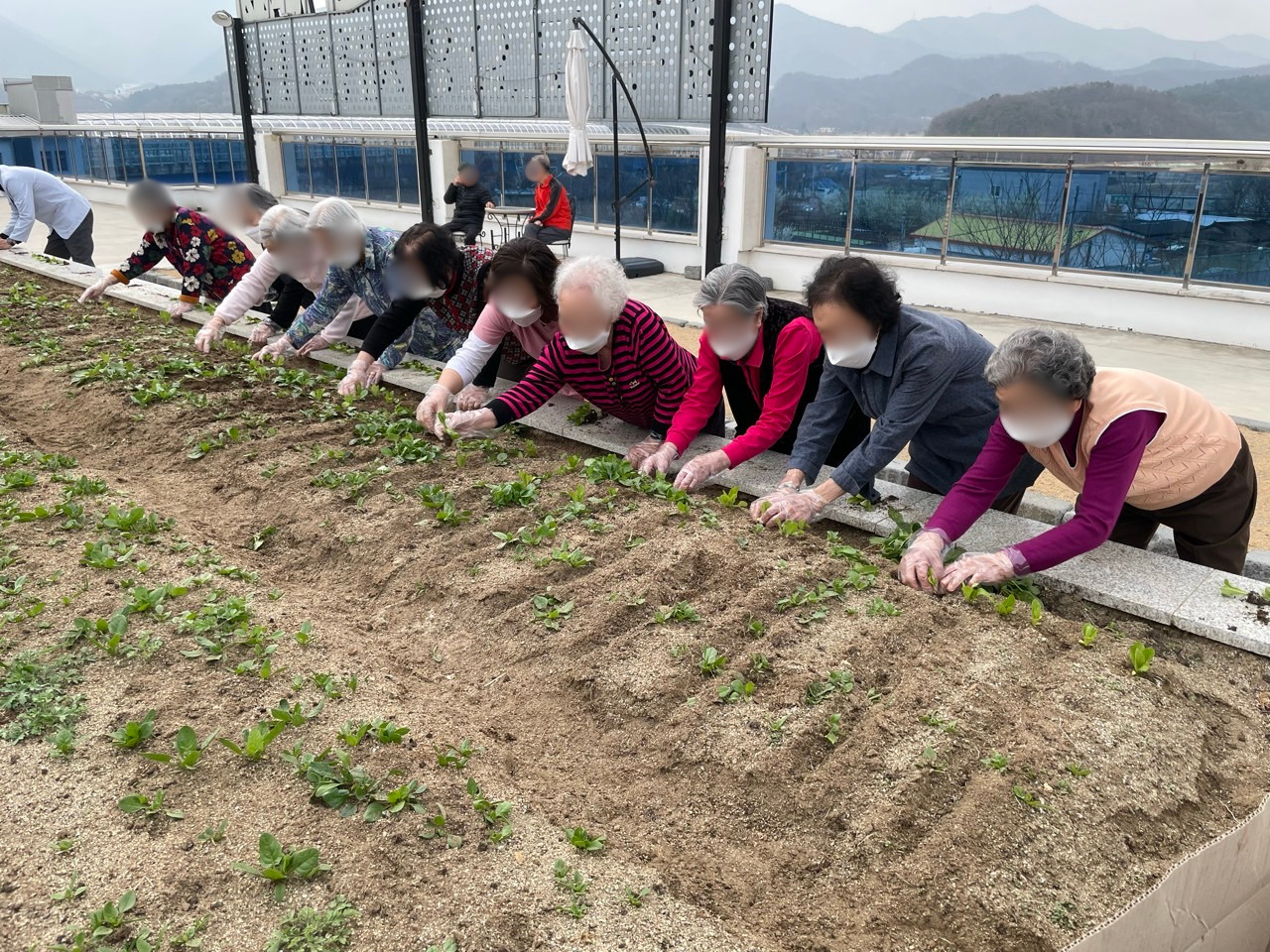 1926210121_wf9ni2B7_0504b61ea7bedb483fc90564f80f45ac900038e8.jpg 이미지크게보기