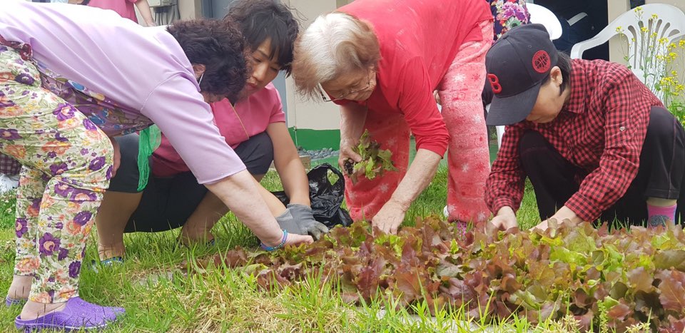 2041977679_6lqd4X1o_c9830ea29b91b88106ad54a105f95614b32cdf75.jpg 이미지크게보기