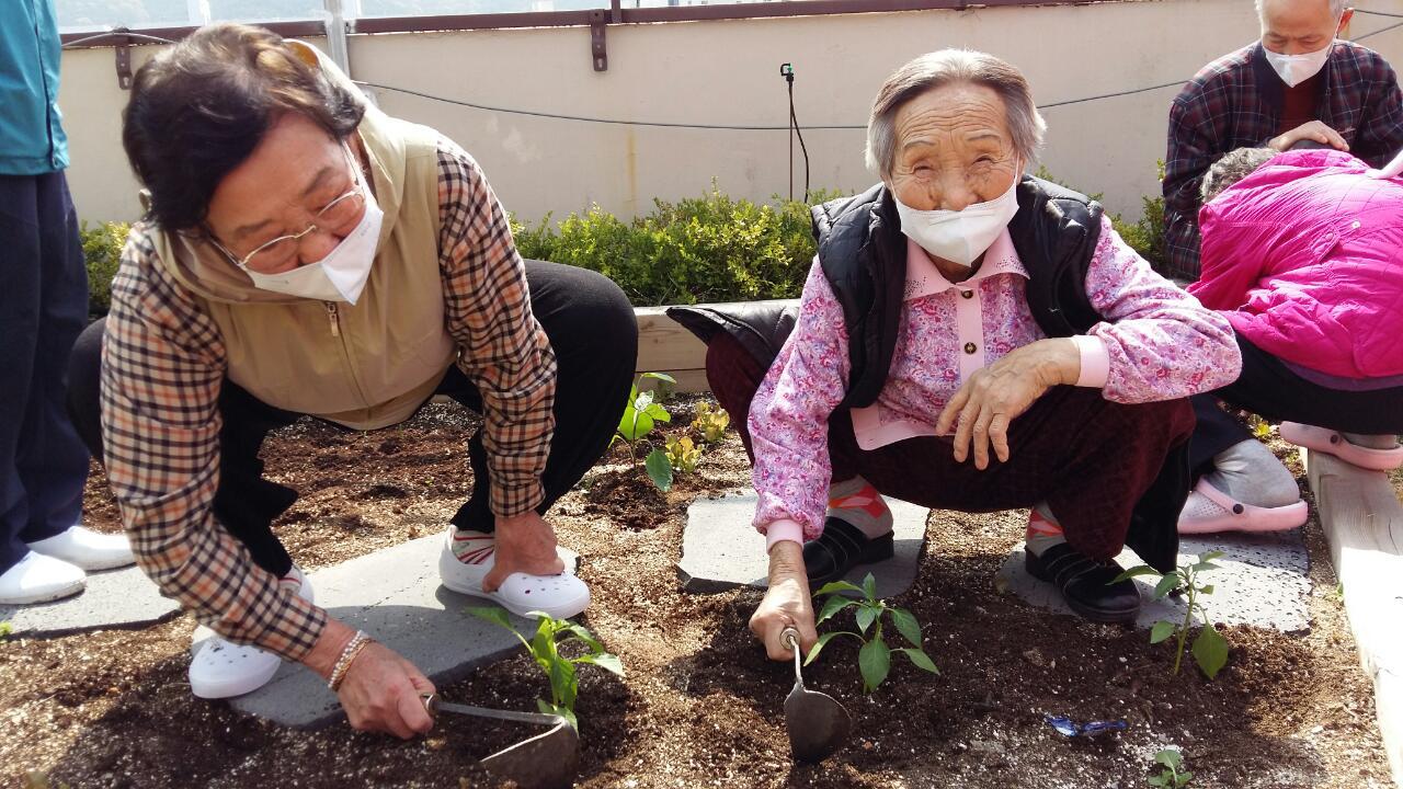 2041977679_XwTZuenv_e419324f53d6bfe4035a60747873f082845fbe5b.jpg 이미지크게보기