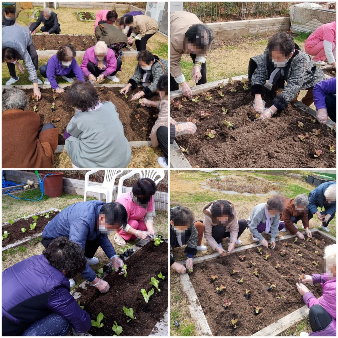 33231609_IXzGEQYx_cf1e9007c51e27bbc185a52d442fe08c691aabbf.jpg 이미지크게보기