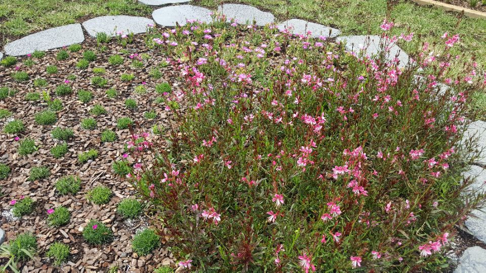 3695598613_E02rOu5h_95bd8da289f2703106d989046a3596ec45d0cad6.jpg 이미지크게보기