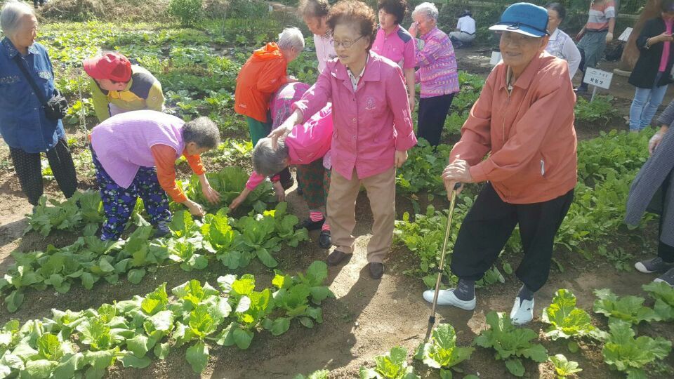 3695598613_EGzoyrXO_85f4401ba36c90e874b9f3ae44a20a12b9efad0f.jpg 이미지크게보기