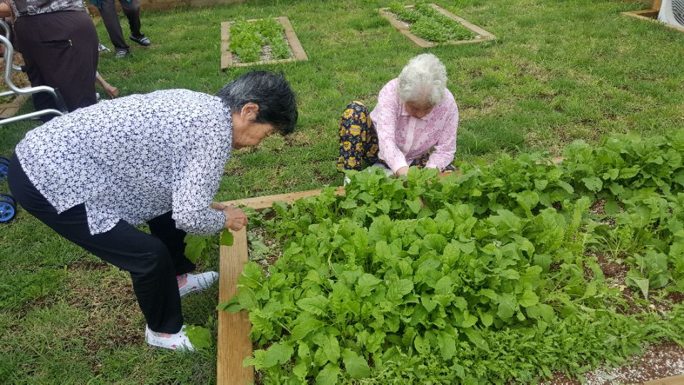 3695598613_FSJUmw1X_f77e2a4cb658c4fb98c4453aaccc121269def29e.jpg 이미지크게보기