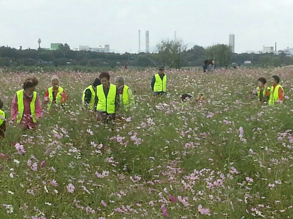 3695598613_RVCdDkYQ_b66012283c8ef1a01eb4e3519e40973d6716ab77.jpg 이미지크게보기