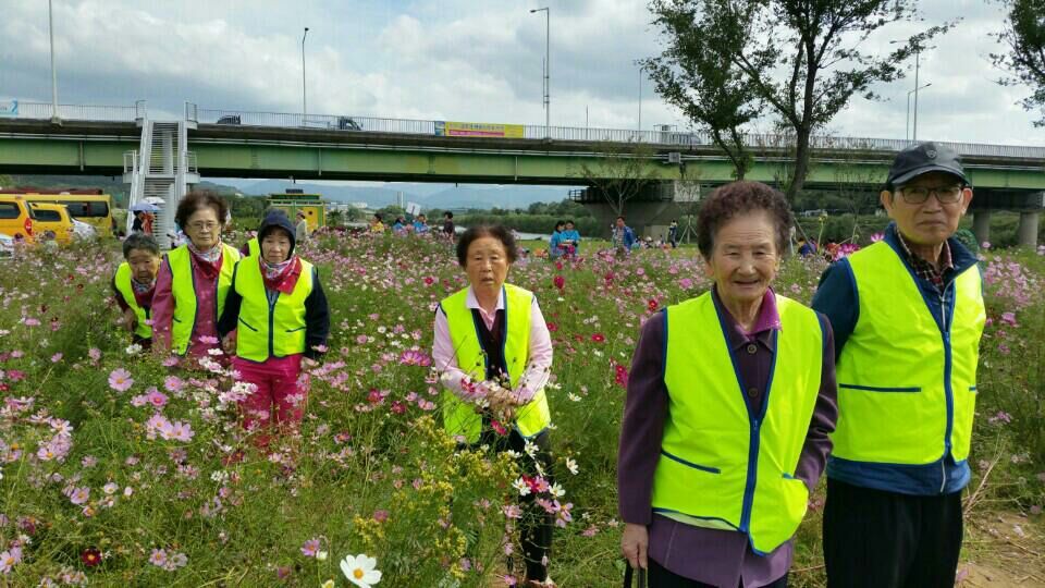 3695598613_c49oHx72_1829e3c7ad5ec64cffb5d0e95af9f97b8f18fd15.jpg 이미지크게보기