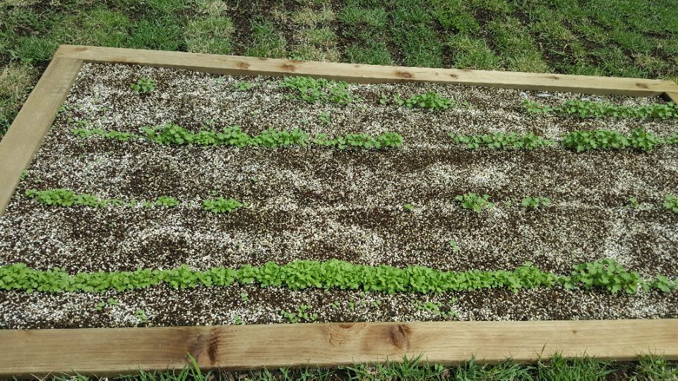 3695598613_n3YRv2So_df8b4984ec4ac6e1c2afead85774b21fd073b840.jpg 이미지크게보기