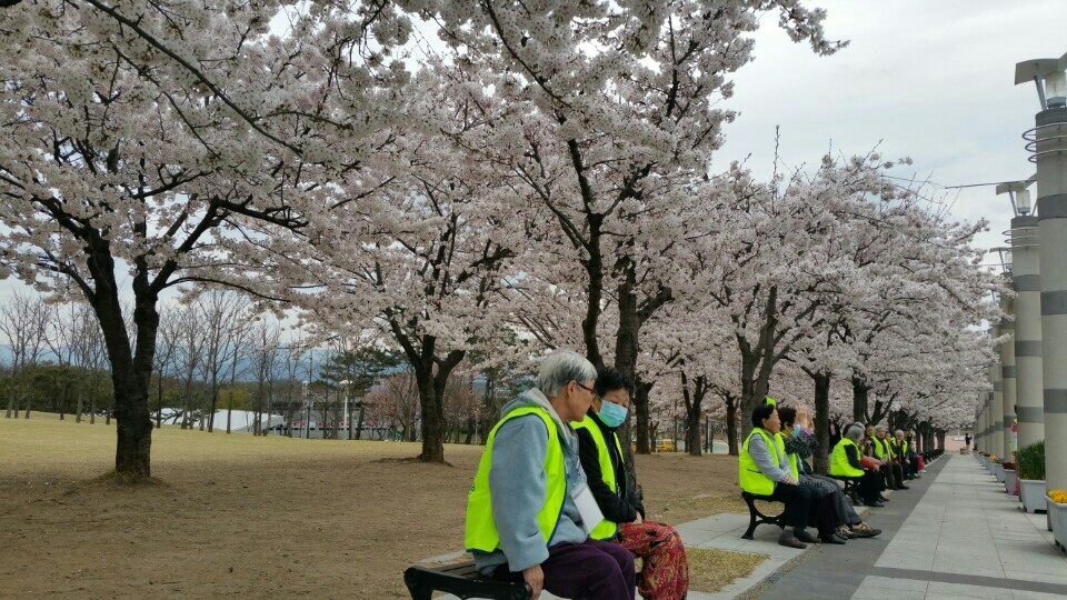 3695598613_wfqcvTyD_e3d8c3e51fe96279afdfc9751b643fb6c6d99dcd.jpg 이미지크게보기